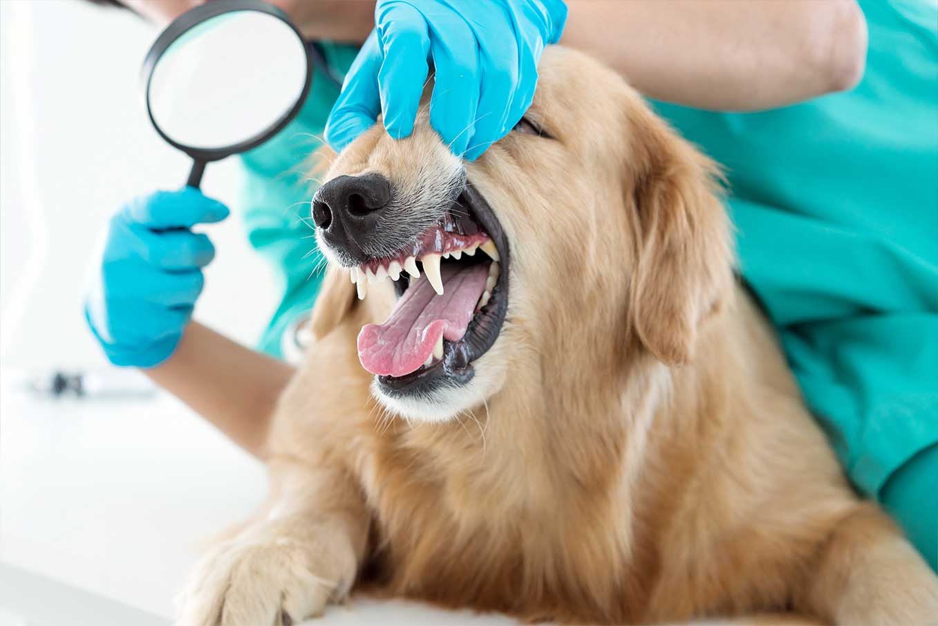 適用於遠端監測