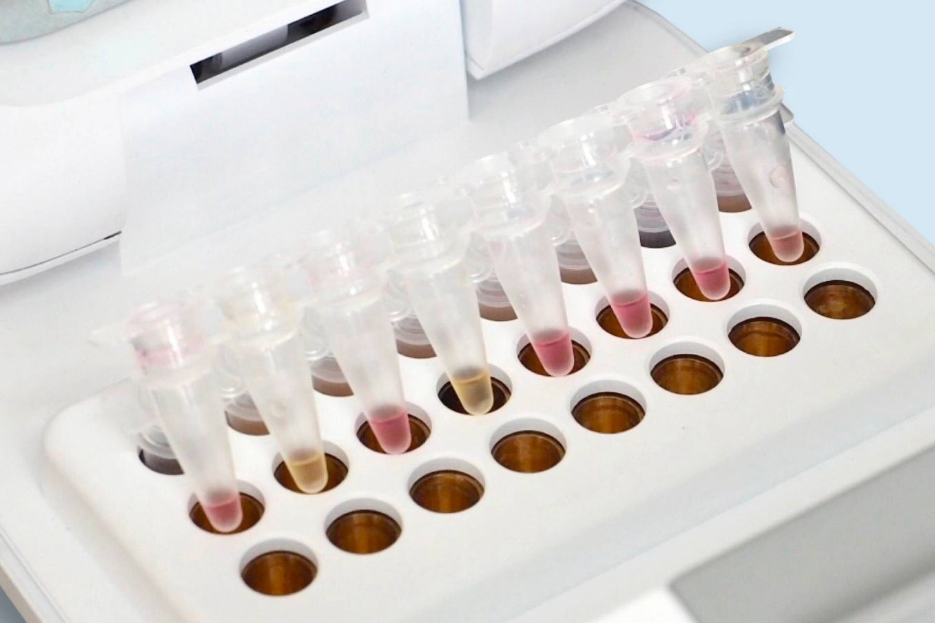 Intuitive results viewable by the naked eye or smart device