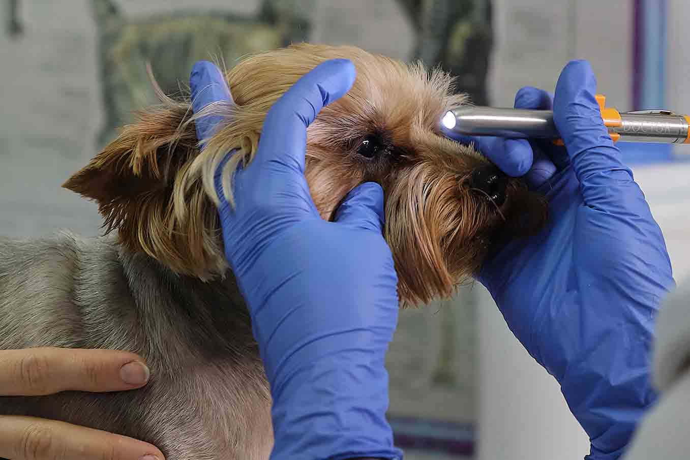 適用於遠端監測